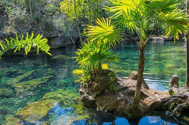 Cosa vedere in Messico. Alla scoperta di siti Maya, natura e città