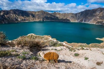 8 VALIDI MOTIVI PER VISITARE L’ECUADOR