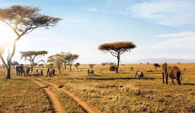 Un viaggio in 𝗧𝗮𝗻𝘇𝗮𝗻𝗶𝗮 non è completo senza un Safari.