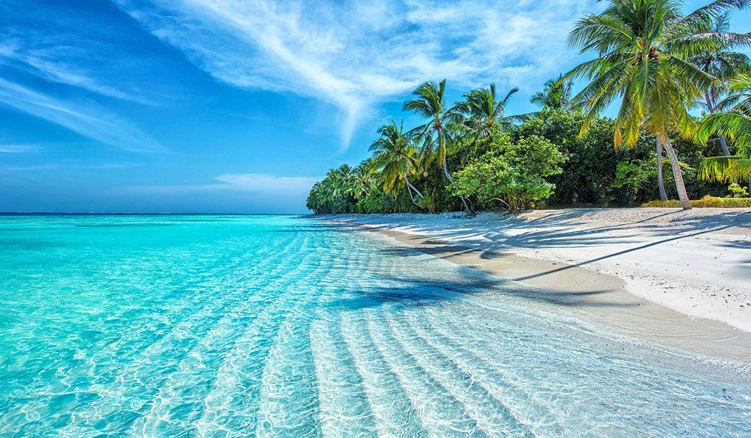 Immagina una vacanza alle Maldive, dove le note di “Nothing Else Matters” dei Metallica accompagnano ogni momento.