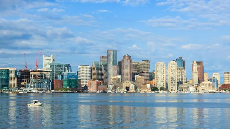 Boston e l’osservazione delle balene!