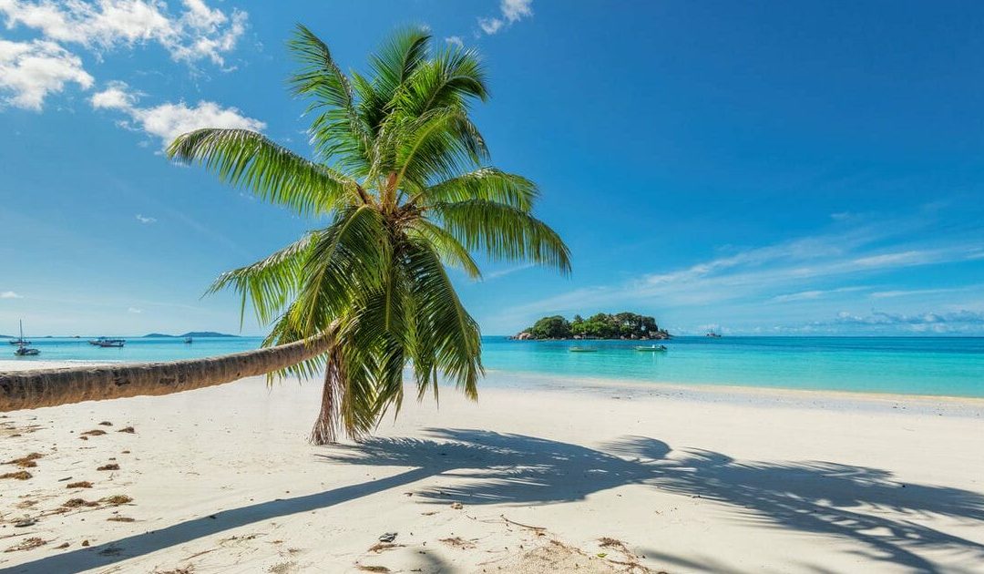 Montego Bay: vacanze tropicali al ritmo di reggae.