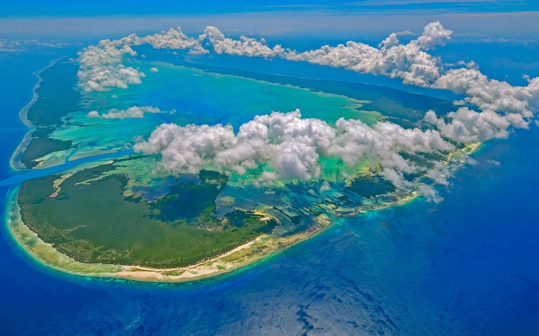 Il mondo incantato di Aldabra.