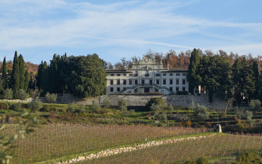 Tour nel Chianti, esperienze gratificanti .