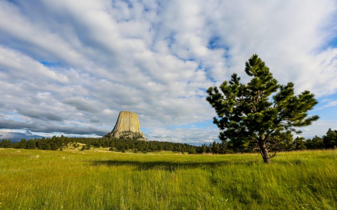Wyoming: dove prende vita l’anima selvaggia del The Great American West degli Stati Uniti!