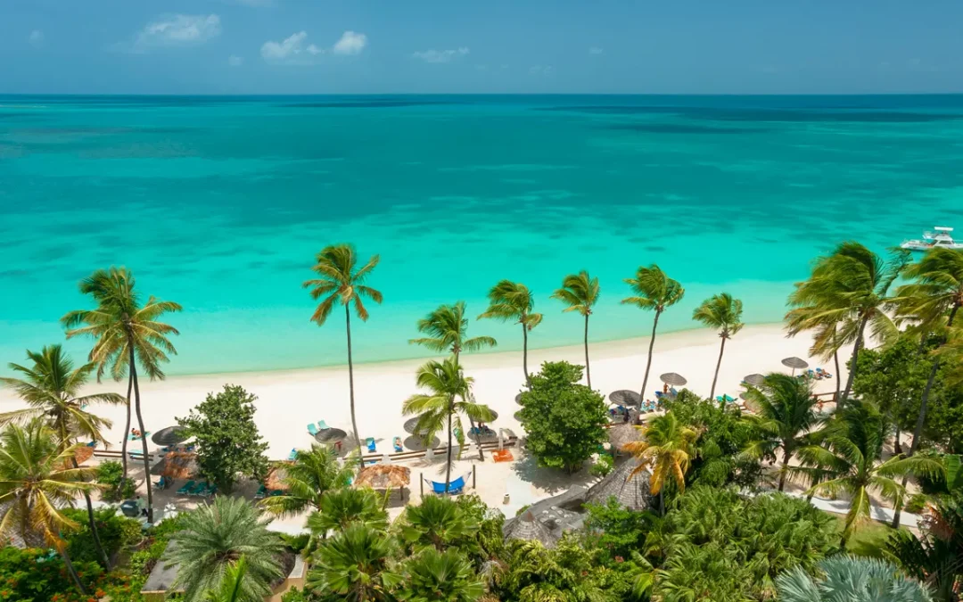 Antigua, come una vacanza in paradiso può cambiare il futuro di un’isola.