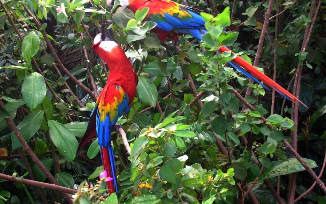 Venezuela, Canaima.