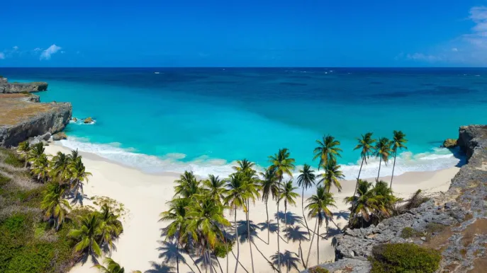 Viaggio a Barbados: come visitare l’isola dei Caraibi in modo sostenibile.