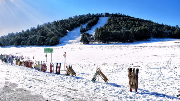 Ifrane, il Marocco che non ti aspetti: qui puoi sciare.
