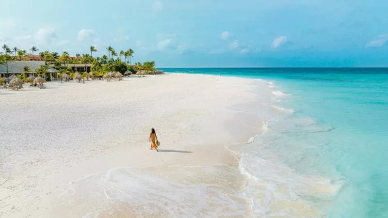 Aruba, il cuore pulsante dei Caraibi.