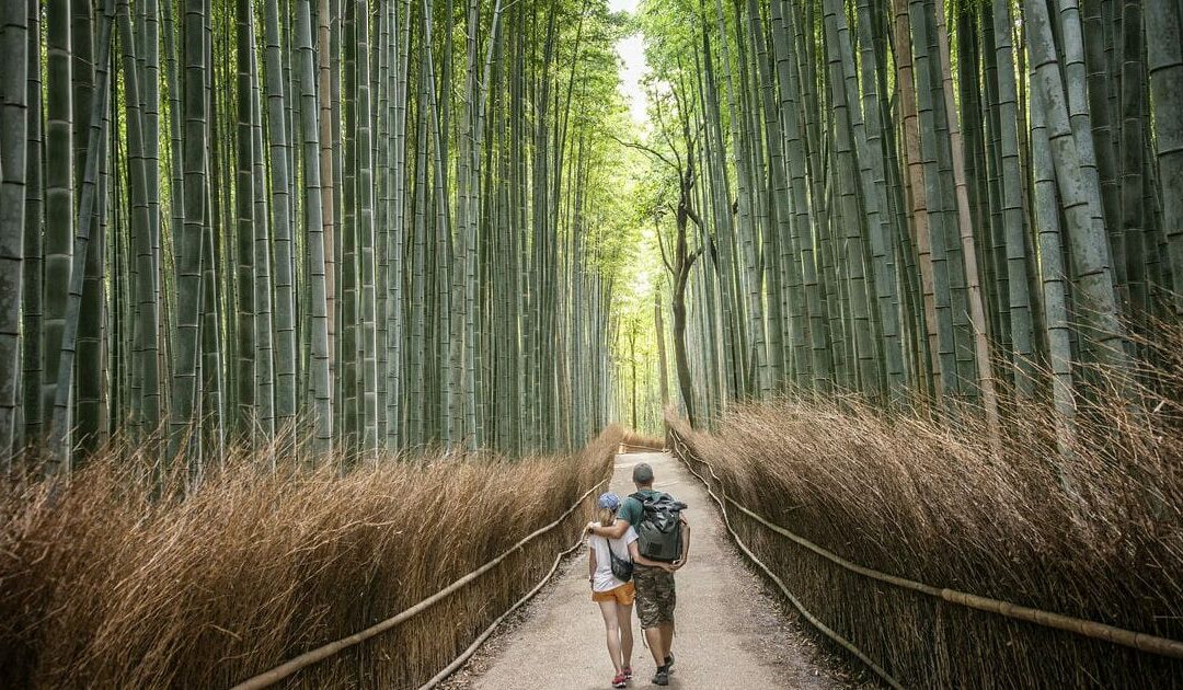 Vietnam e Giappone, Messico e Perù: alla ricerca della magia.