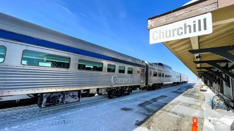 Dal Midwest a Churchill, capitale mondiale di orsi bianchi e beluga. 1700 chilometri in Canada tra tundra e Artico in un treno che più lento non si può.