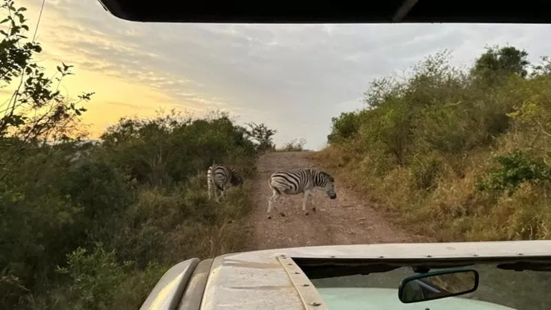 In Africa per salvare gli animali: così il safari diventa ecoturismo.