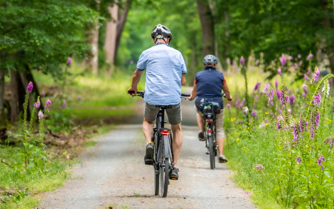 Trekking e Bike Tour tra gli Ulivi Millenari Pugliesi: un viaggio in Puglia tra natura e storia.