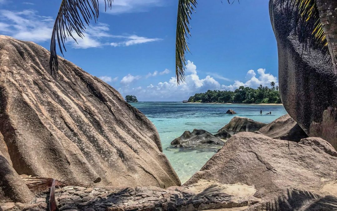 Tropico del Capricorno: le Isole Mascarene.