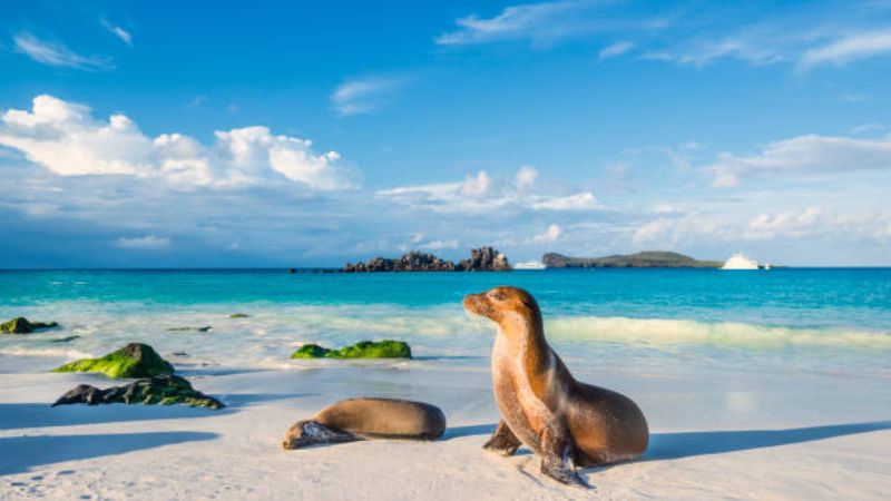 L’arcipelago delle meraviglie: soggiorno alle Galápagos.