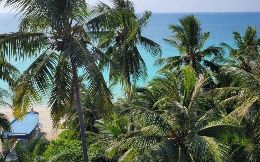 Beach Hotel Dhigurah Maldive