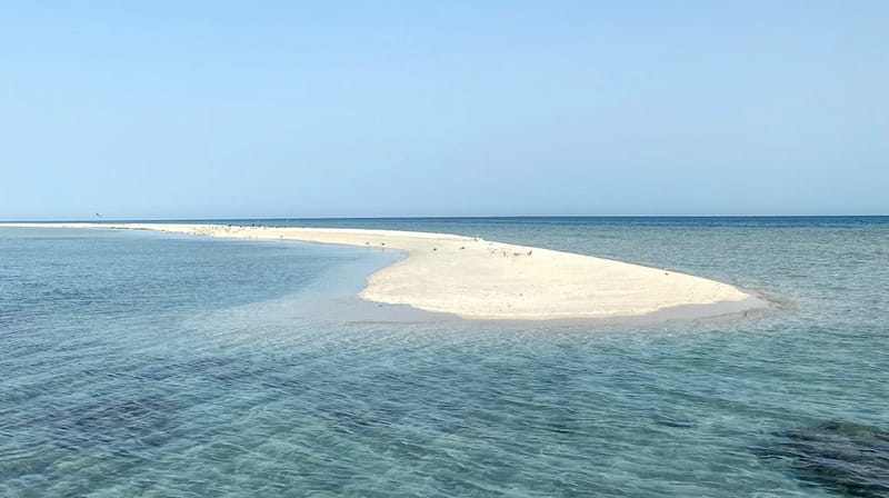 The Red Sea : I nuovi esclusivi Resort sul Mar Rosso in Arabia Saudita !