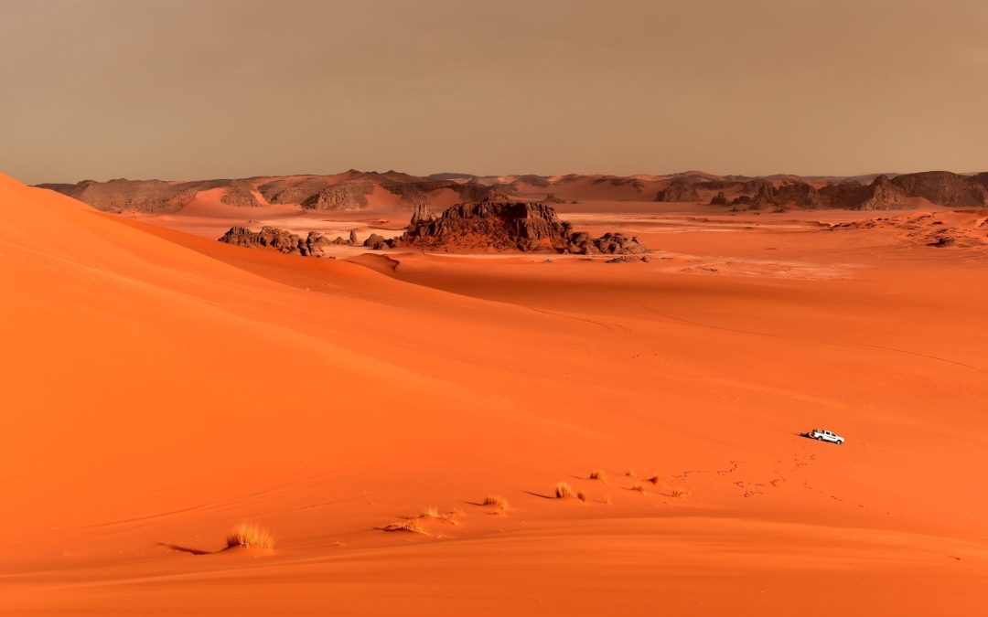 Algeria, una promettente avventura africana