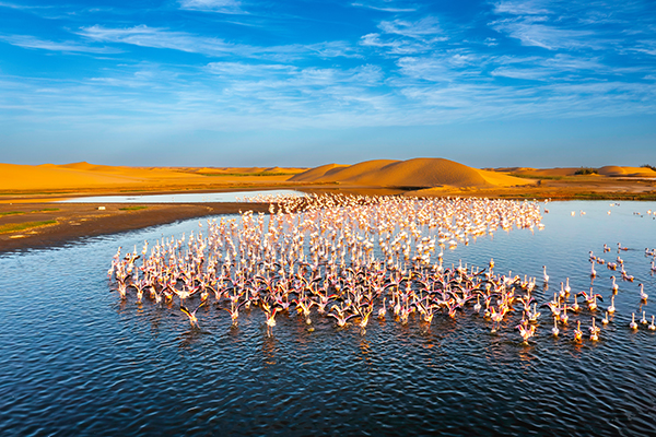 Namibia, colori d’Africa