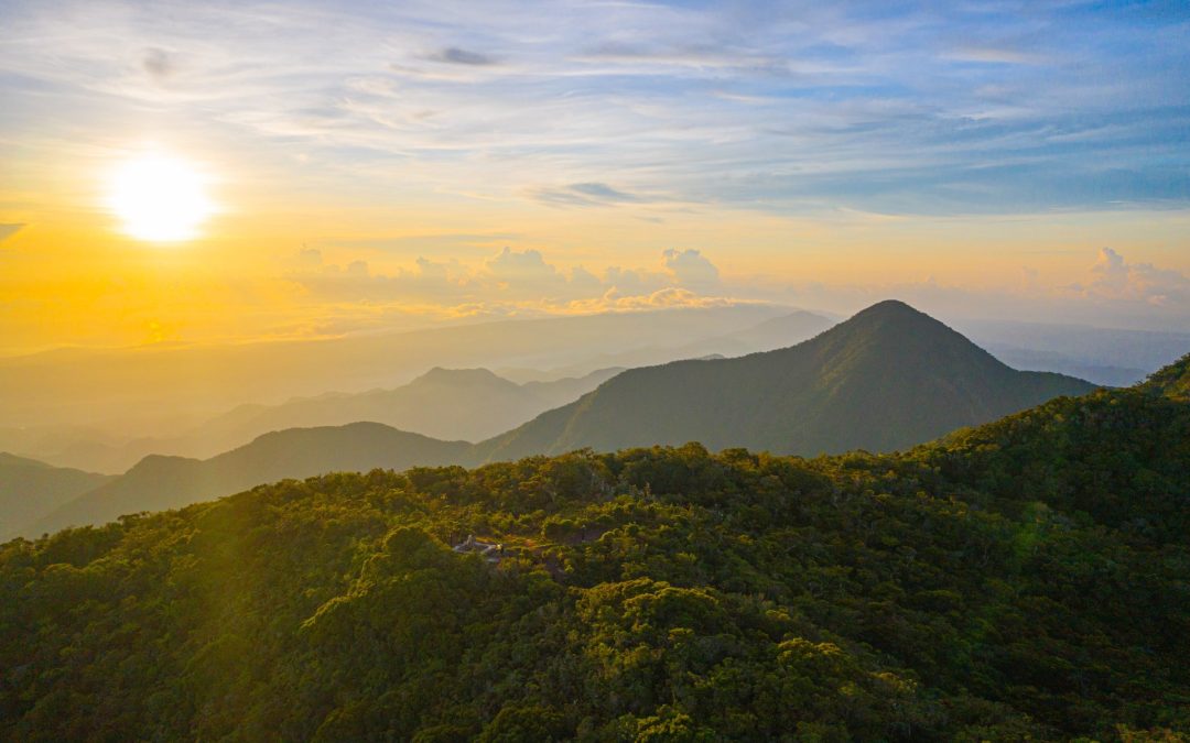 La nuova rotta verde della Giamaica: turismo sostenibile tra natura, cultura e comunità