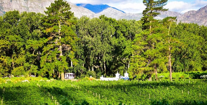 Il Capo dei buoni vini