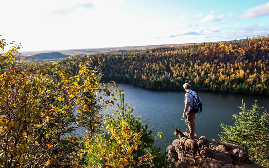 Minnesota: viaggio tra benessere, natura, foraging e sapori autentici