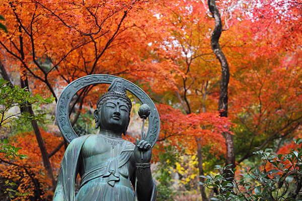 Quando l’Oriente si tinge d’autunno