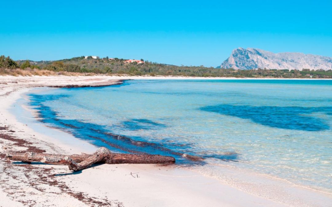 Cala Brandinchi : La perla più luminosa di San Teodoro