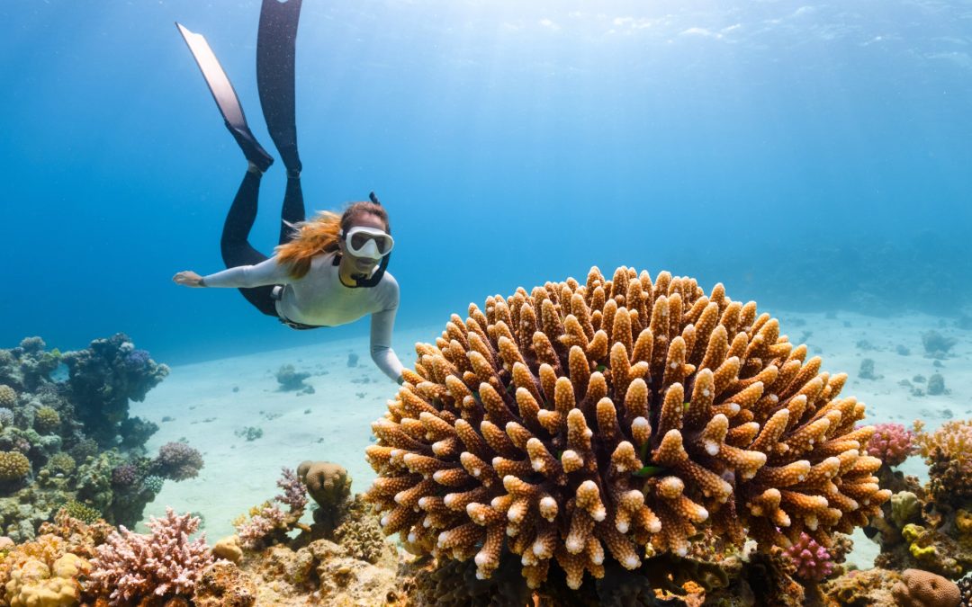 Rigenerarsi nel cuore dell’Arabia Saudita: 7 modi per vivere il Mar Rosso tra deserto, cielo e mare