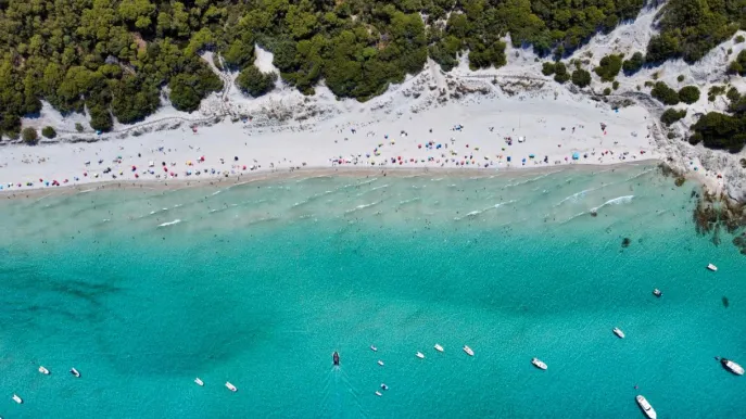 Saleccia, il paradiso nascosto della Corsica tra sabbia bianca e acque turchesi
