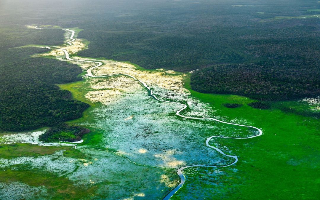 Viaggio via terra in Guyana dalla costa alla foresta pluviale