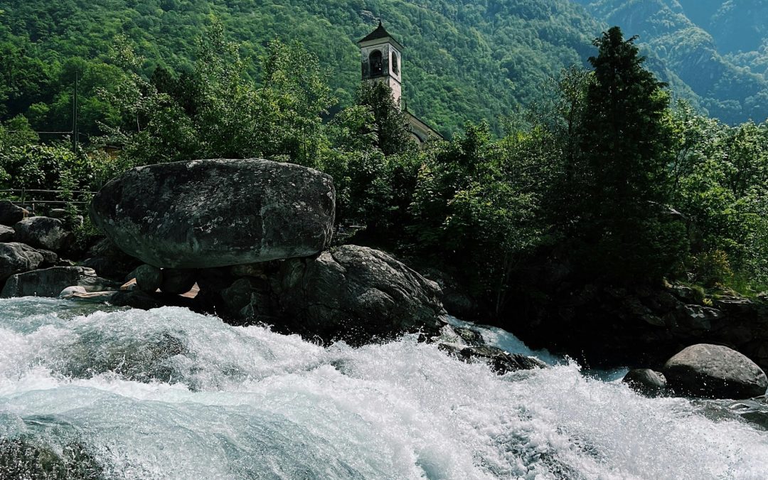 Alla scoperta dei boschi del Ticino: natura libera e panorami mozzafiato