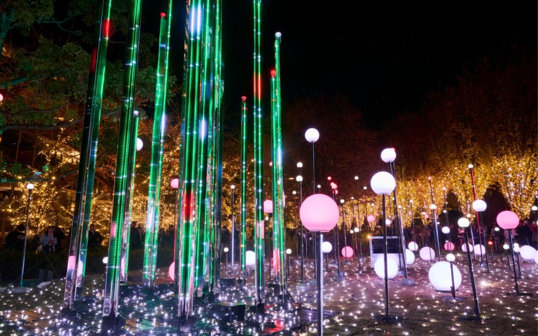 Natale a Tokyo: arte, luce e meraviglia nella città dei contrasti