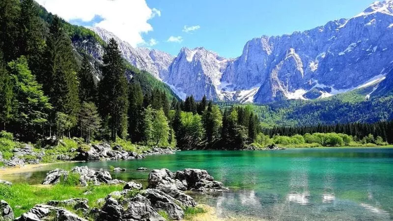 Tarvisio e la sua foresta di confine. Un eden naturale da scoprire nei giorni del foliage