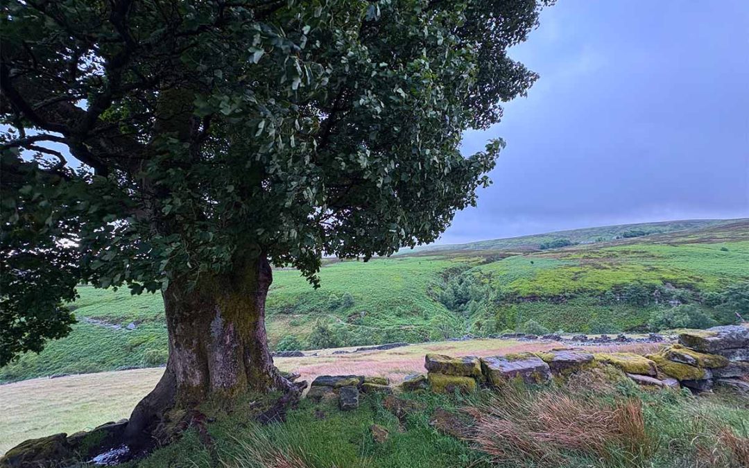 Lo Yorkshire delle sorelle Bronte: tour in una Inghilterra insolita