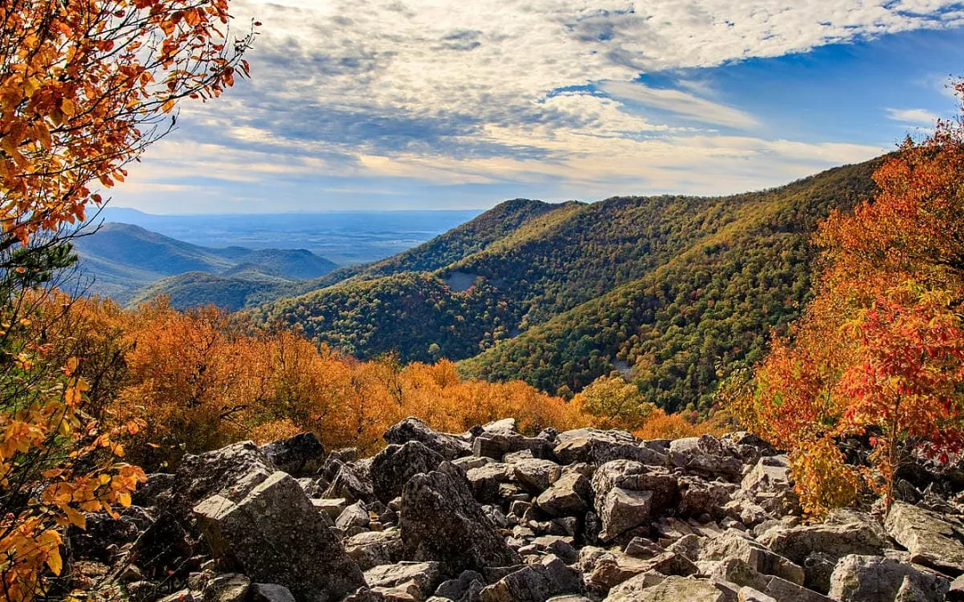 Appalachian Trail: il lungo trekking della East Coast americana