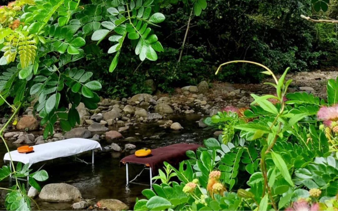 Martinica punta sul wellness: l’isola francese dei Caraibi si presenta come nuova meta benessere