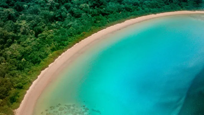 Alla scoperta dell’arcipelago delle Nicobare, paradiso remoto tra foreste pluviali costiere e biodiversità