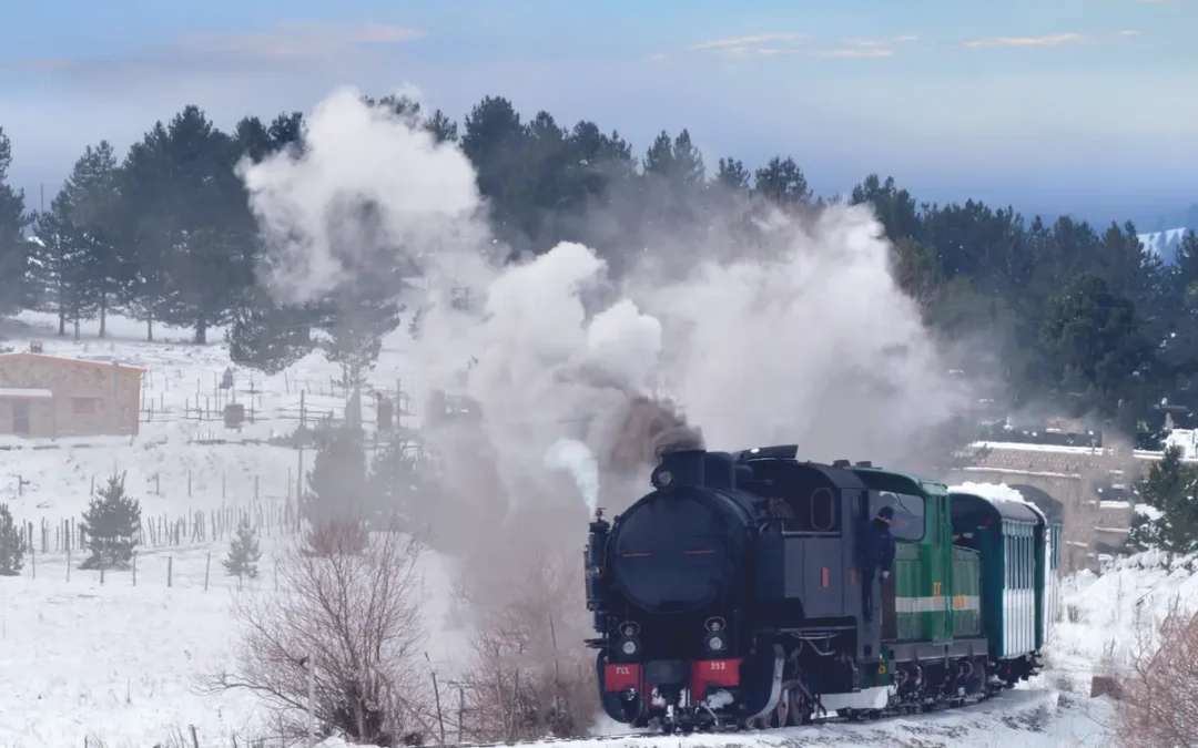 Viaggio lento sul Treno della Sila
