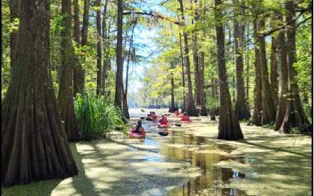 Louisiana 2026: l’anno dell’Outdoor