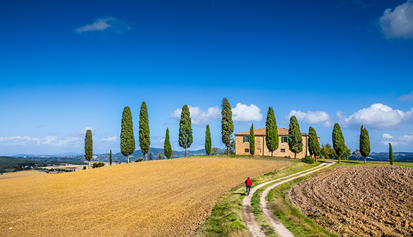 Trekking, cammini, viaggi in bici