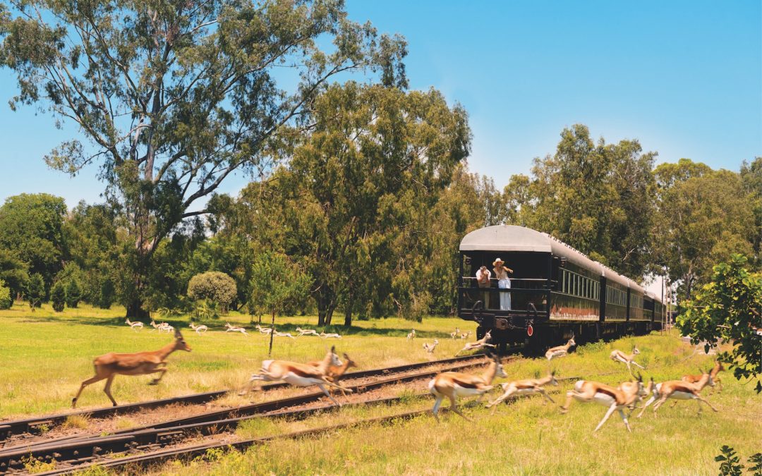 Sudafrica in treno: il fascino del viaggio slow tra carrozze storiche, lusso e nuove esperienze sostenibili