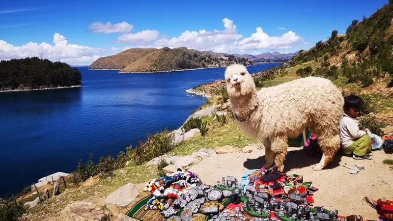 Lago Titicaca, l’esperienza unica di un “mare” a quattromila metri