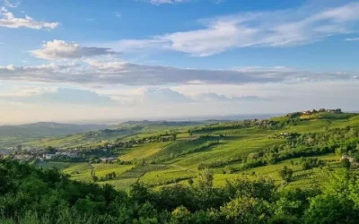 Oltrepò Pavese: lungo il 45° Parallelo tra bollicine, eremi e borghi di pietra