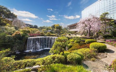 Tokyo primavera 2026: musei, mostre e nuove esperienze tra sakura e creatività