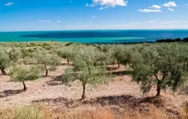 Villaggi in Puglia, in vacanza con Ensy7