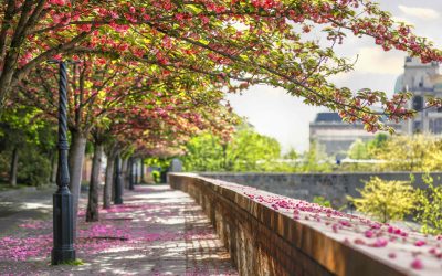 Ungheria in primavera: mercati di Pasqua, festival musicali e wine event
