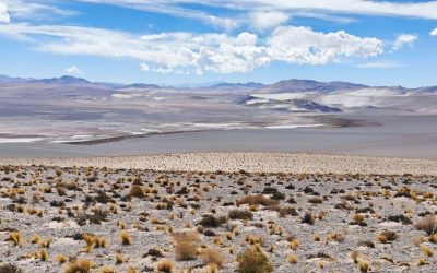 Tra saline, vulcani e lagune colorate nella puna catamarqueña, nel Nord-ovest dell’Argentina