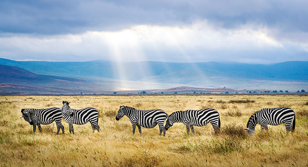 Tanzania, l’emozione della natura